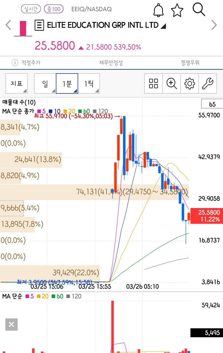  21.03.26 미친듯한 상승세를 보여주는 Elite Education Group International Limited(EEIQ)