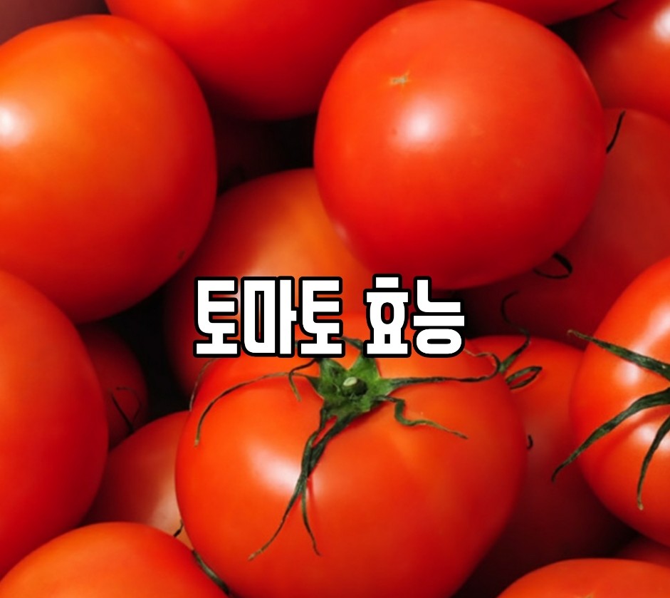  뇌졸증에 좋은 토마토효능 알아보기