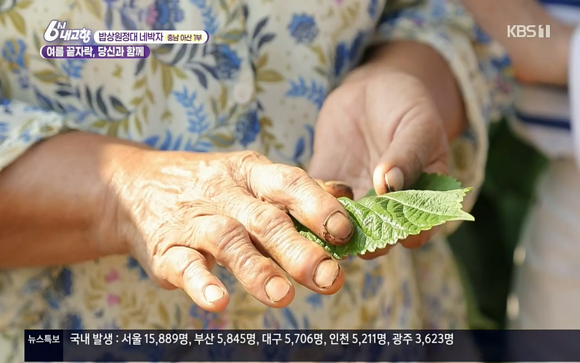 6시 내고향.E7608.220832p.H264-F1RST.mp4_20220901_204411.865.jpg