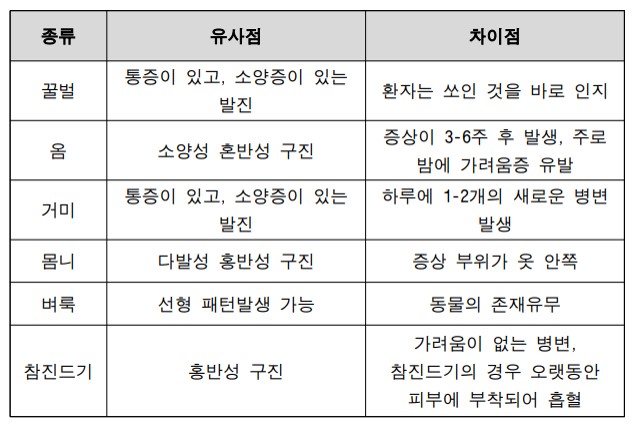 빈대 물린 자국&#44; 증상&#44; 퇴치법 총정리