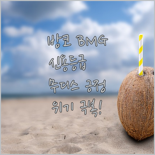 방코 BMG, 위기 딛고 날았다! 무