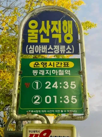 부산역 심야버스 정류장 서부 사상 시간표 예약 예매_3