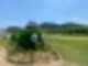 꽃양귀비 [ 울산 여행 ] 한 폭의 수채화♥ 양귀비와 22