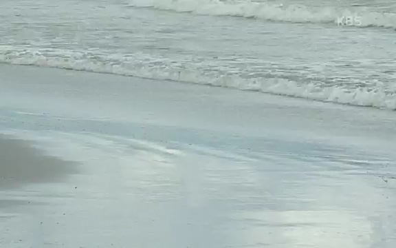 [4521회] 인간극장 - KBS사랑해요 로꾸르 최 4부] 자식에게 부모는 거울이자 나침반이다. 솔빈 씨는.ts_20220822_161611.095.jpg