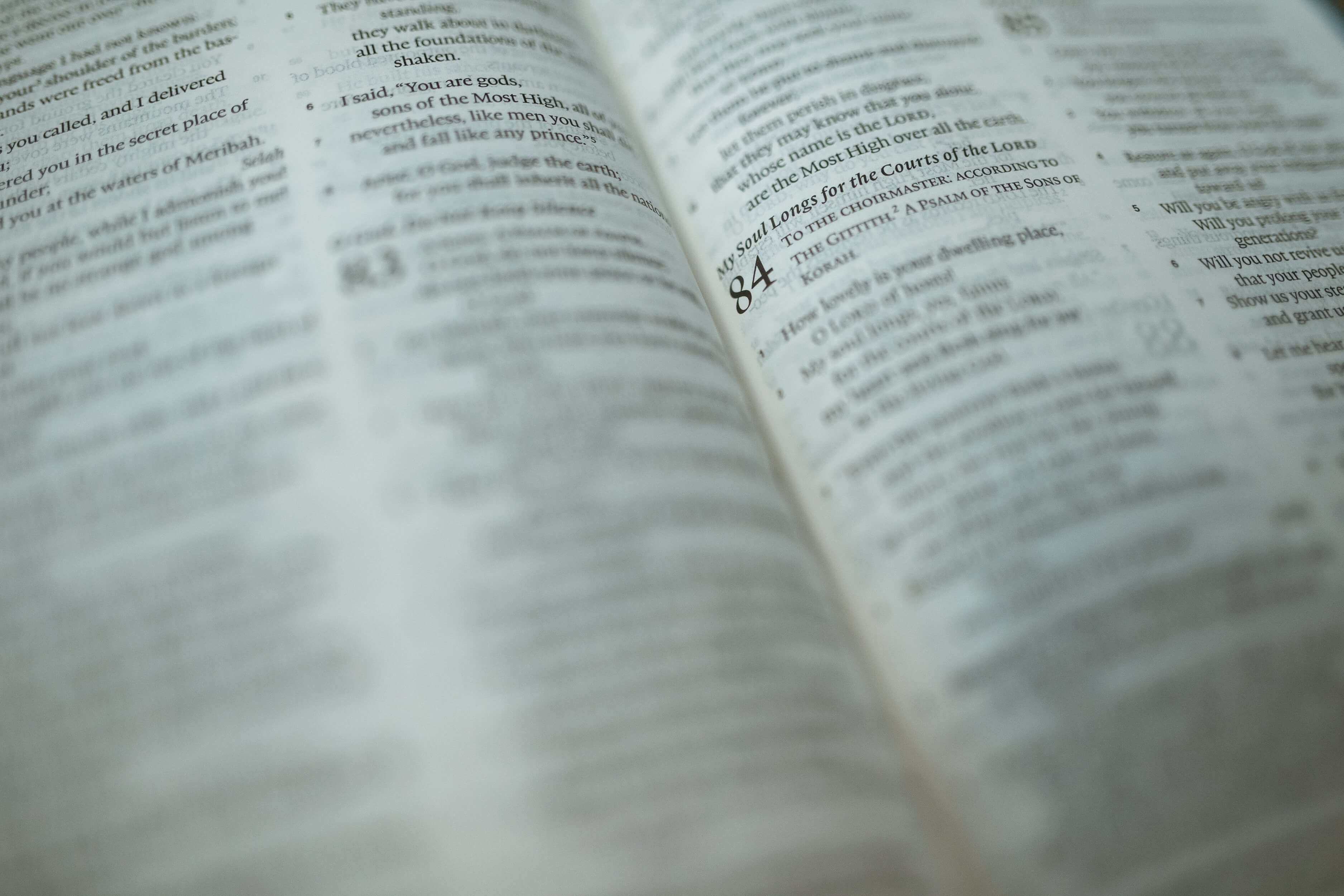  룻기 3장 - Ruth 3 : 1~18
