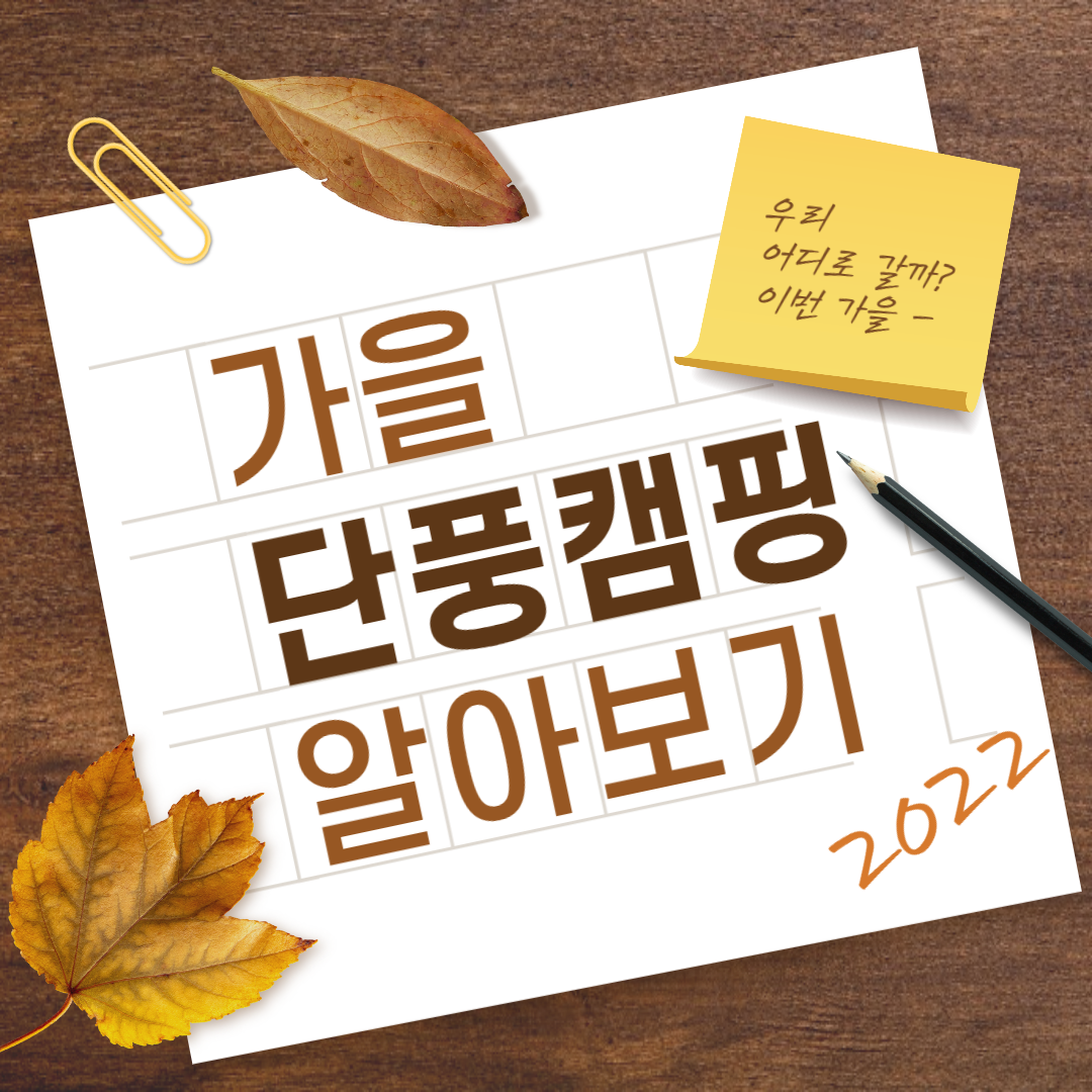 가을 단풍 캠핑