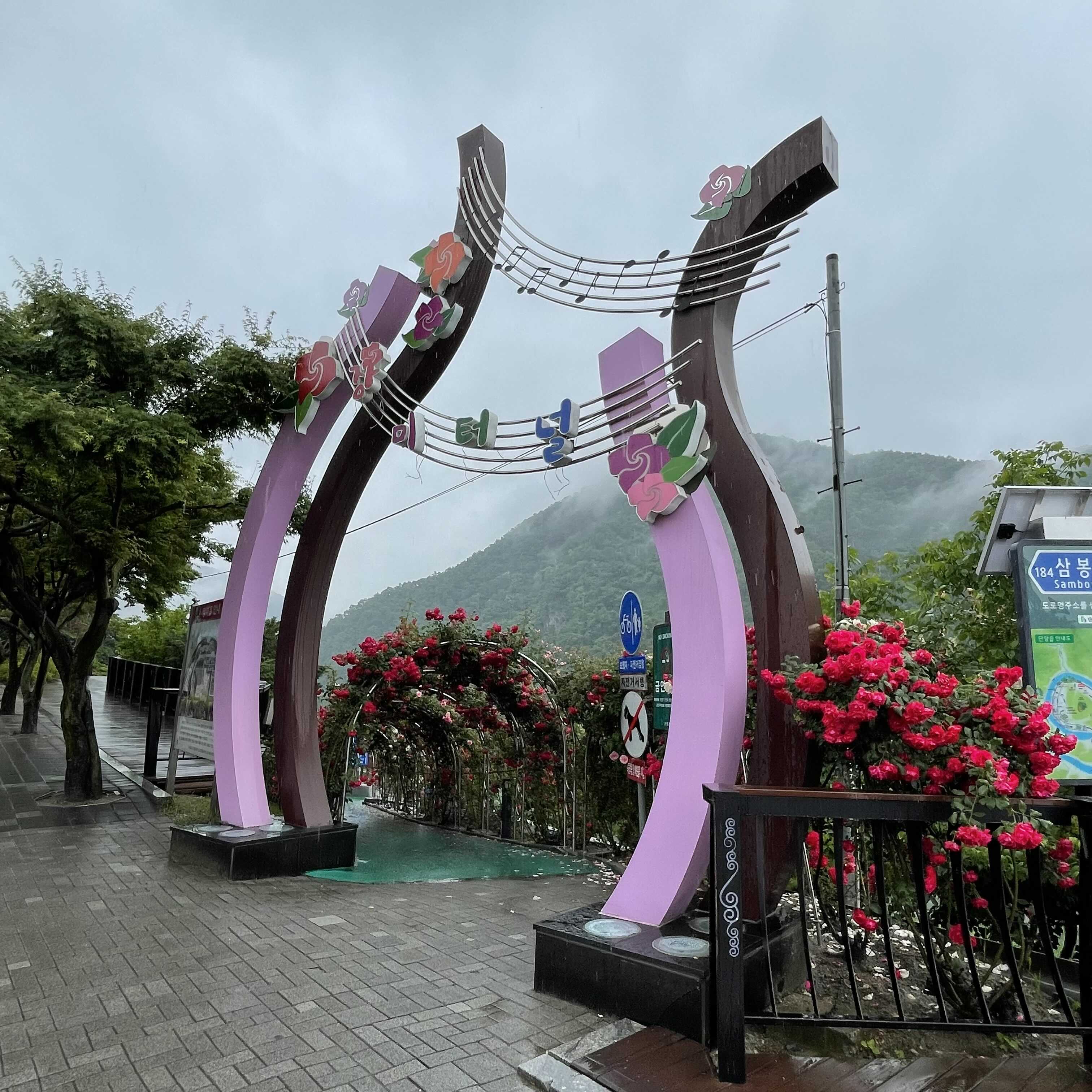  [충북 단양군] 장미터널