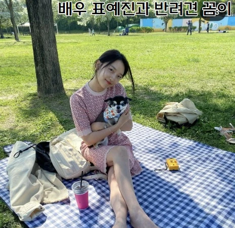 배우 표예진과 반려견 꼼이가 잔디밭 돗자리에 앉아있는 사진