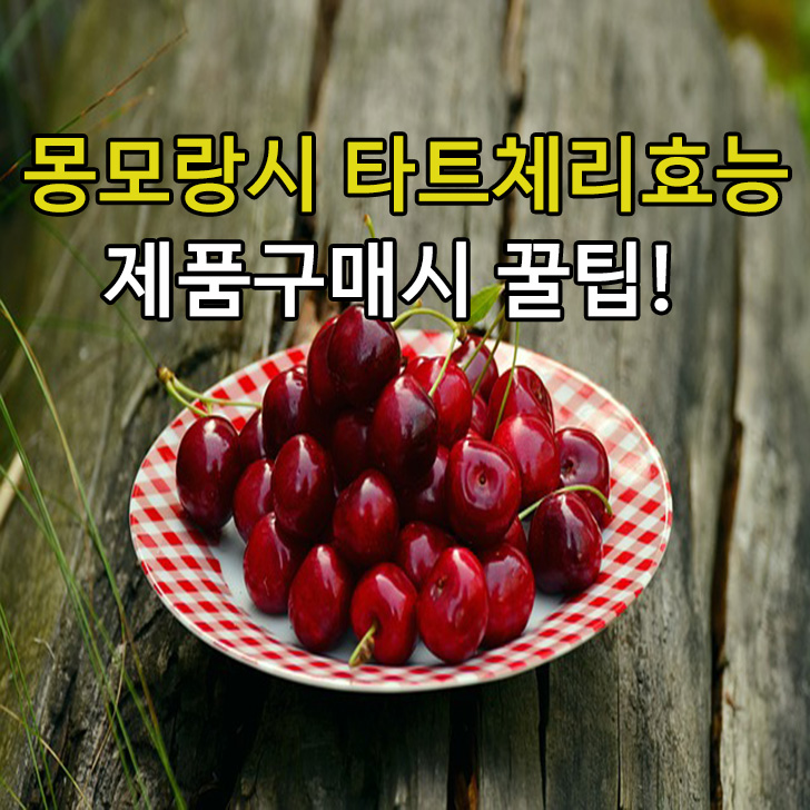  타트체리 효능정리
