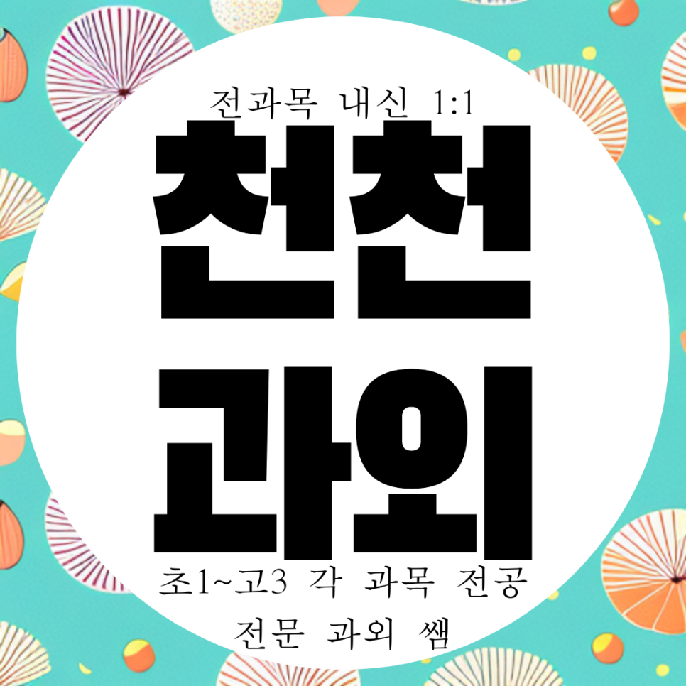  수원 천천동 고등 수학과외 정자동 중등 영어 예비 중학생 국어과외 초6