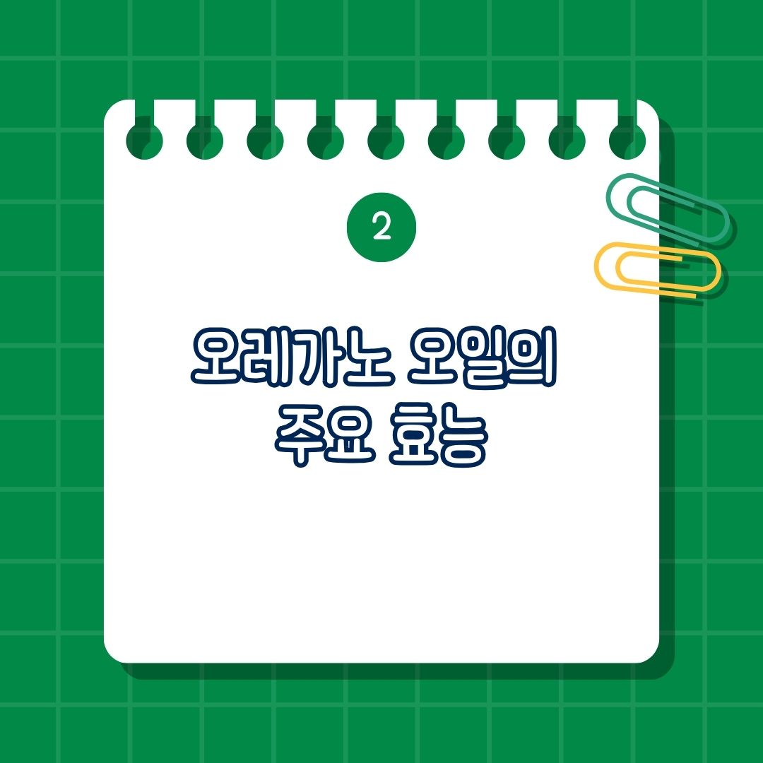 오레가노 오일 주요 효능은 강력한 항균·항바이러스 효과, 장 건강 및 SIBO 개선, 면역력 강화, 항산화 작용, 염증 완화 및 통증 감소, 피부 건강 개선