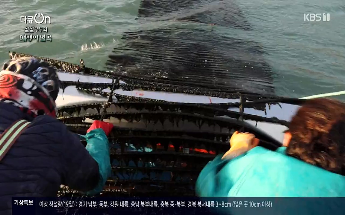 다큐 온.E131p-NEXT.mp4_20220319_173945.275.jpg