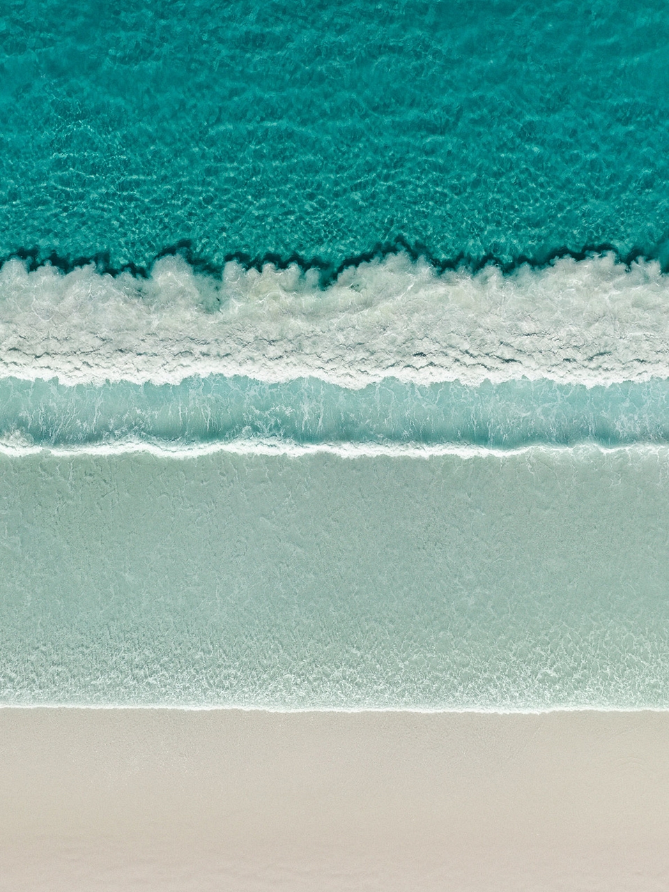 img.jpg