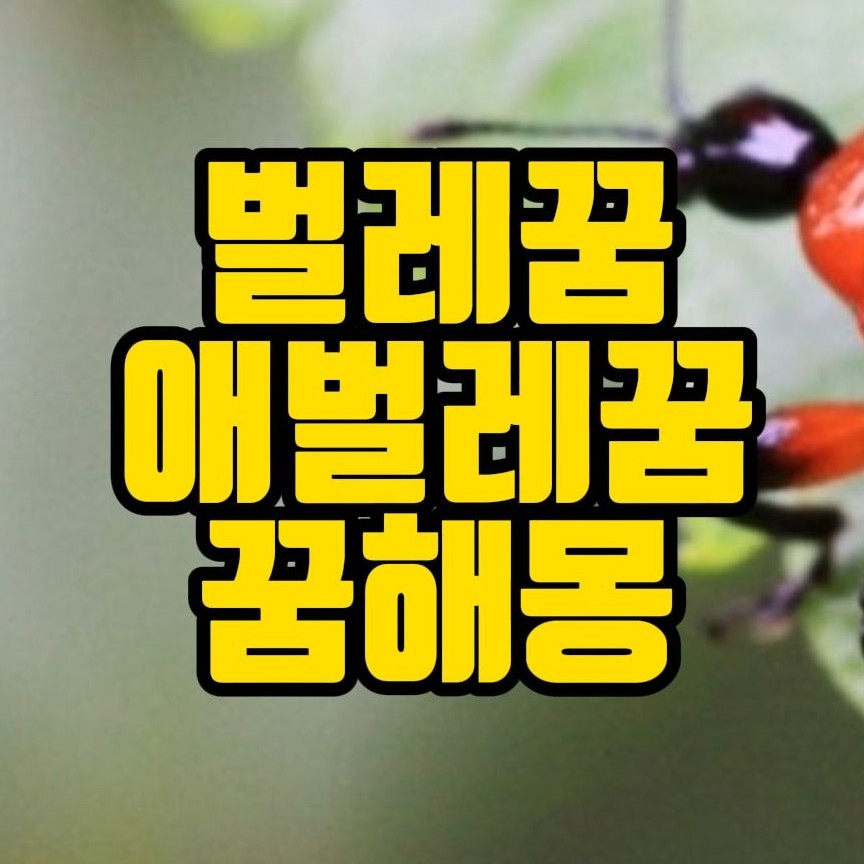  [꿈해몽] 벌레꿈,이,벼룩등 해충꿈,개미꿈,잠자리꿈,풍뎅이꿈, 거머리꿈,지렁이꿈,구더기꿈,누에꿈,송충이꿈 등 벌레꿈 관련 꿈해몽