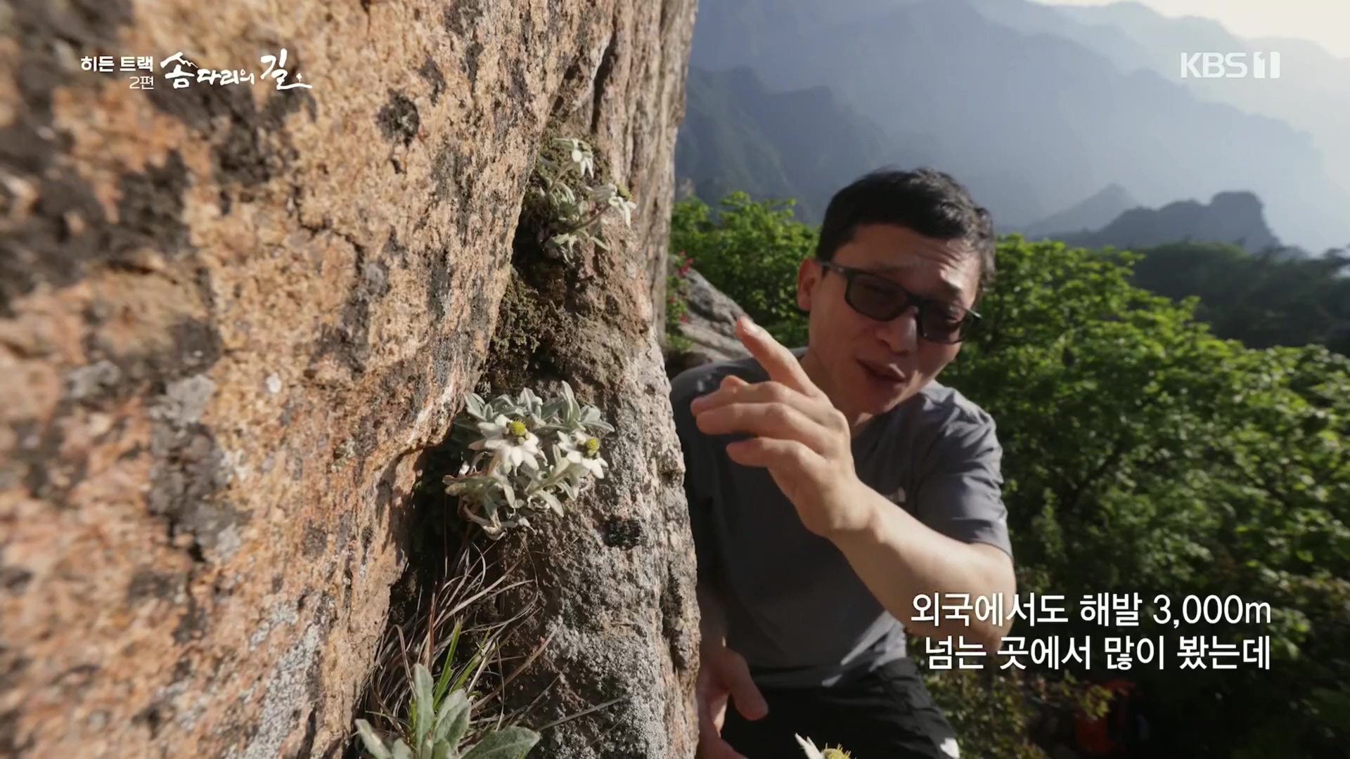 다큐 인사이트.E02.231215p.H264-F1RST.mp4_20231216_185209.411.jpg