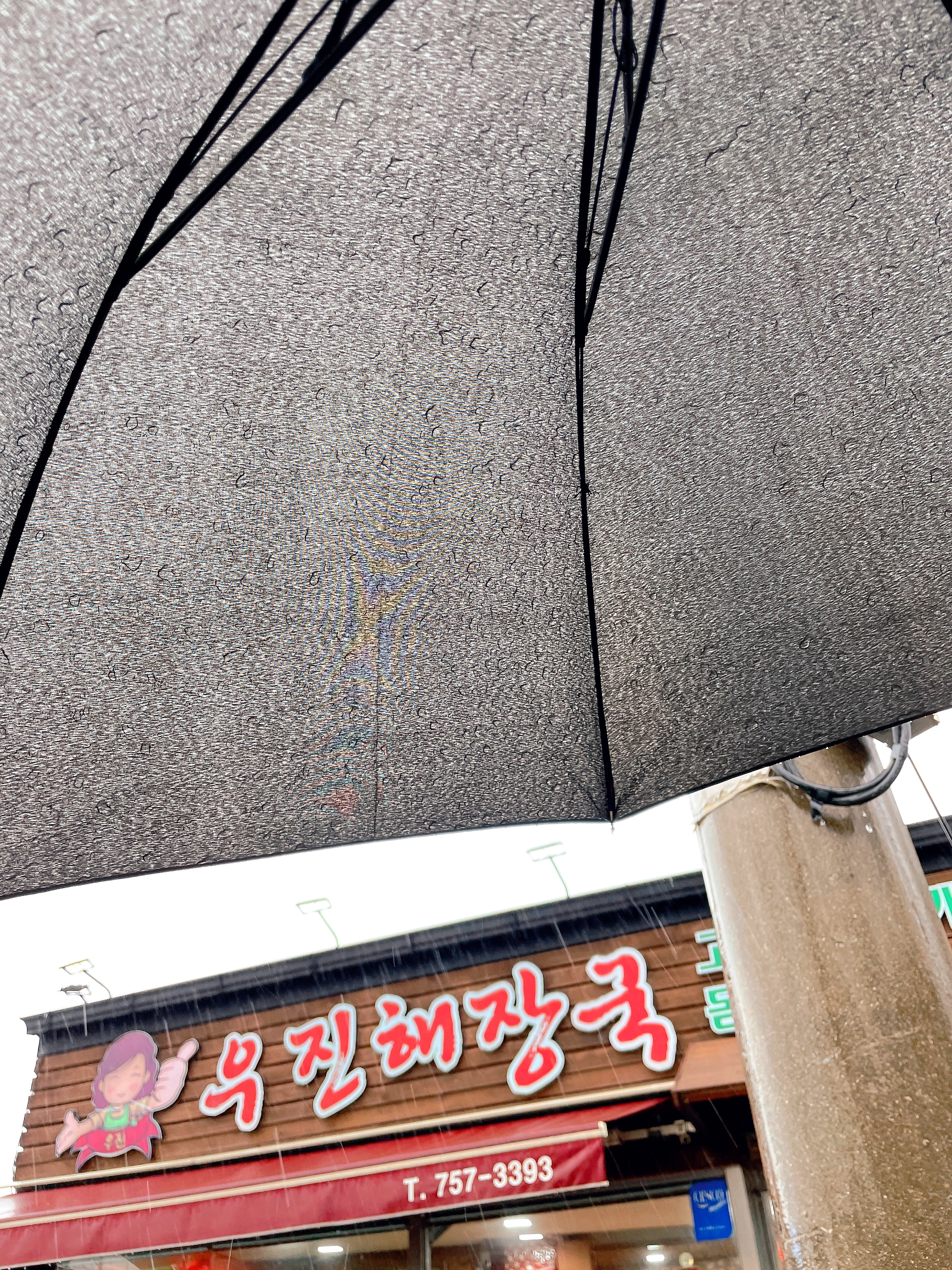  제주 신혼여행 기록하기 [ 맛집 정리 ]