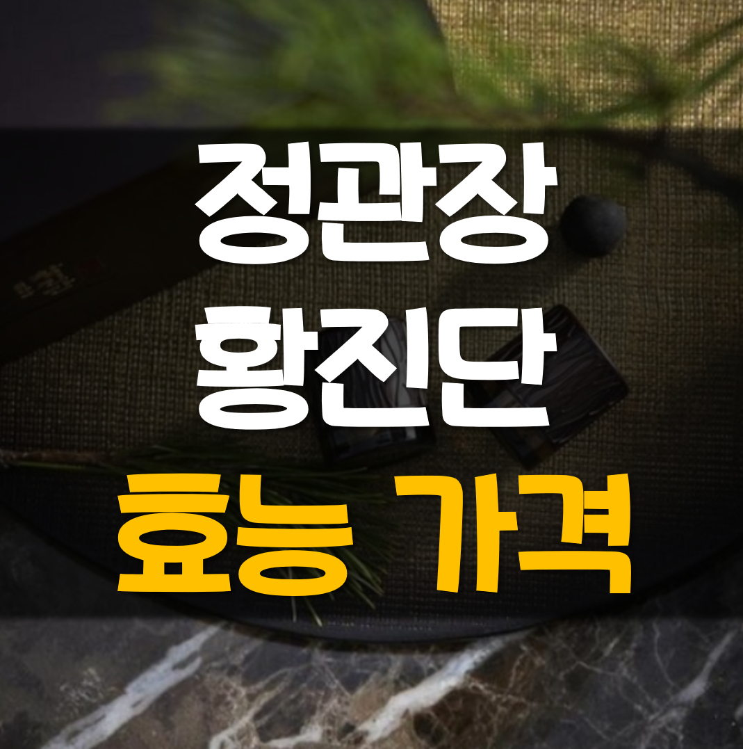  정관장 황진단 효능 가격