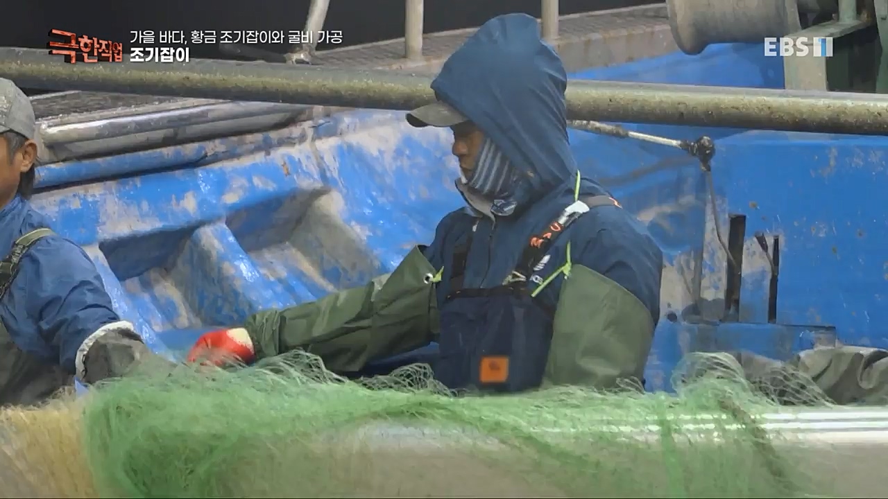 TV - 교육의 중심 EBS가을 바다 황금 조기잡이와 굴비 가공.mp4_20221122_195430.662.jpg