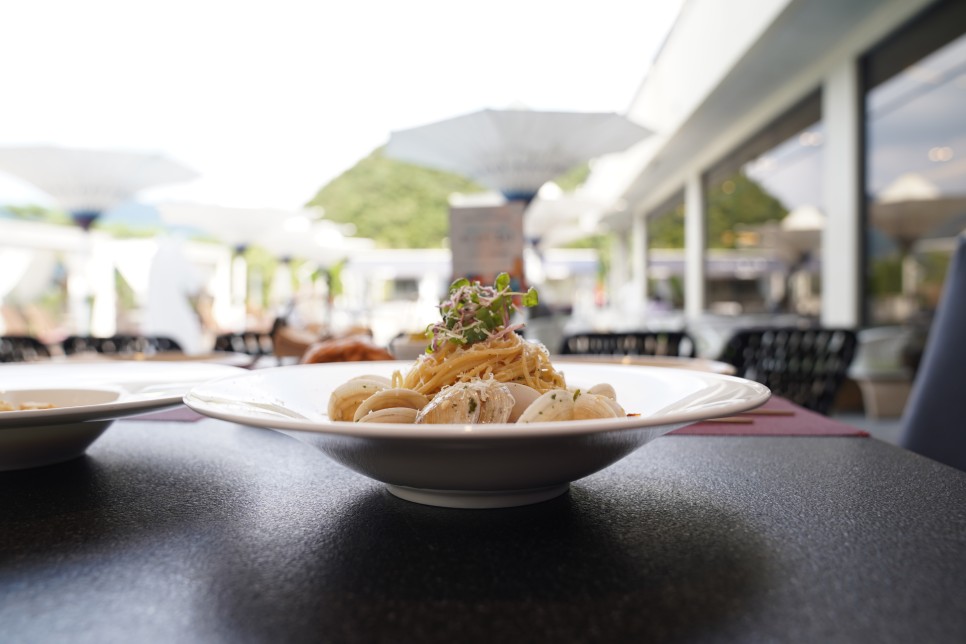 대전 스테이크 제일 잘하는 레스토랑 대전 스테이크 대전 스테이크 제일 잘하는 레스토랑 대전 스테이크