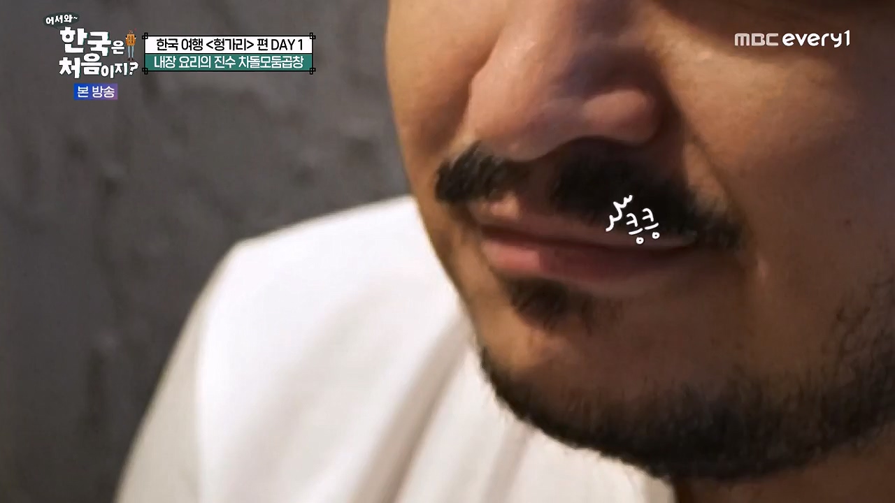 어서와 한국은 처음이지 시즌2.E317.240607p-NEXT.mp4_20240607_201705.139.jpg