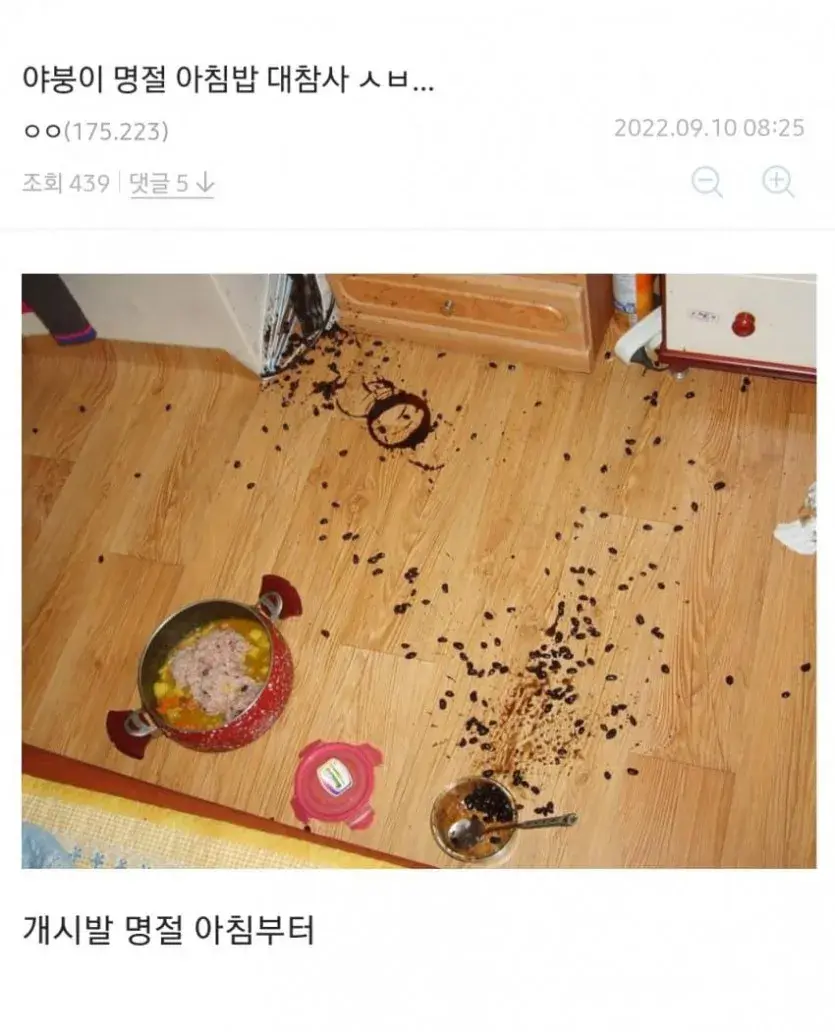 디시 야붕이 추석 명절 아침밥 대참사