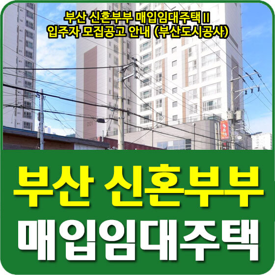  부산 신혼부부 매입임대주택Ⅱ 입주자 모집공고 안내 (부산도시공사)