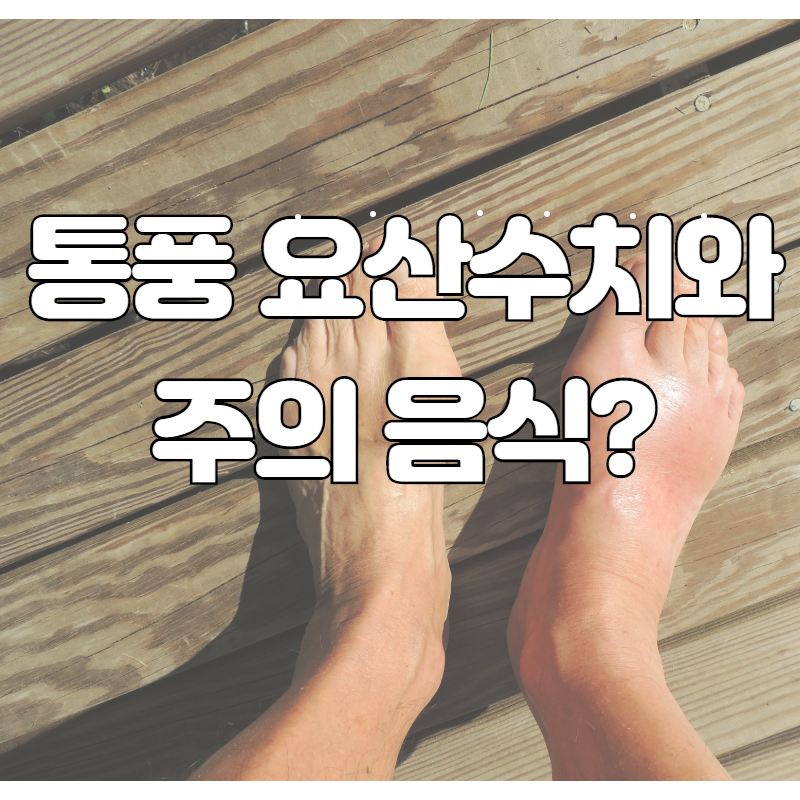  통풍 정상 요산수치와 주의할 음식, 예방법