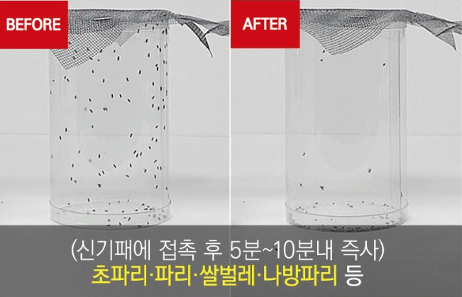 신기패분필