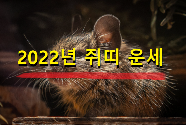  2022년 쥐띠 운세 27세, 39세, 51세, 63세, 75세 나이별 쥐띠운세