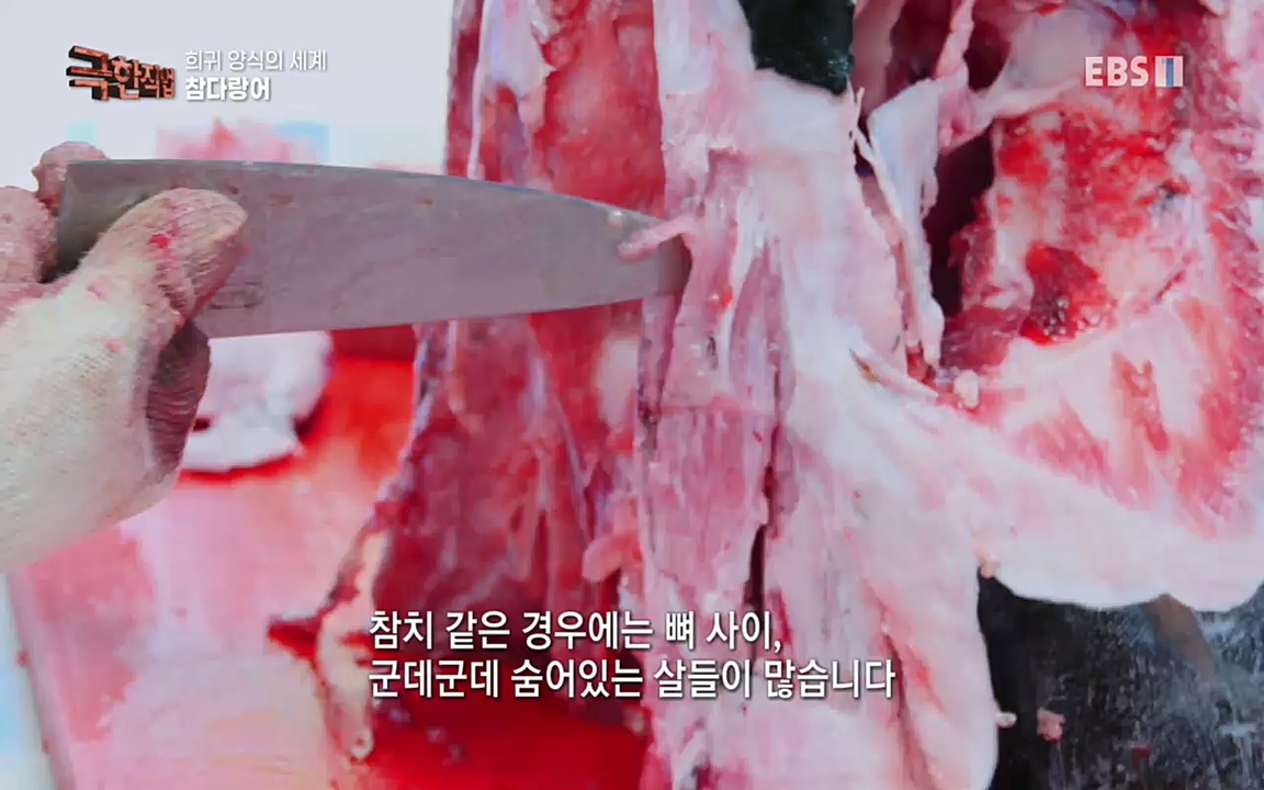 TV - 교육의 중심 EBS희귀 양식의 세계 - 참다랑어, 연어, 쏘가리.mp4_20220829_200221.417.jpg