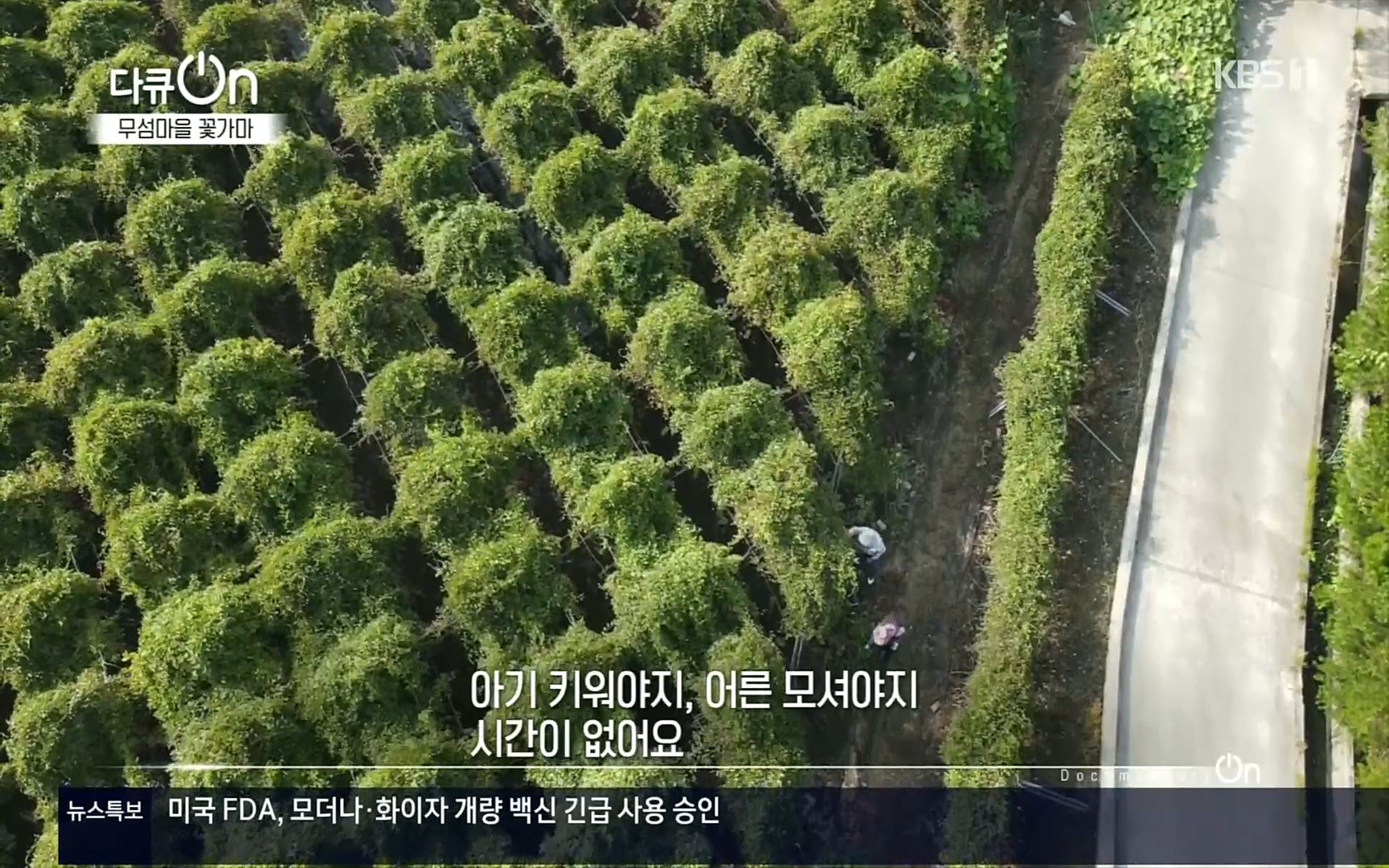 다큐 On.E156.220909p.H264-F1RST.mp4_20220910_191033.328.jpg