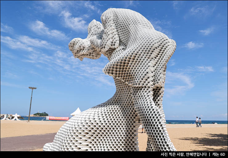 속초해수욕장 포함 7곳 속초 볼거리 1