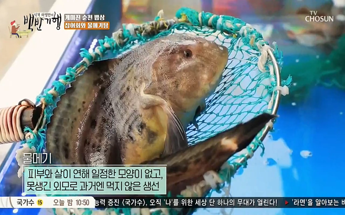식객 허영만의 백반기행.E146.220402p-NEXT.mp4_20220404_175927.197.jpg