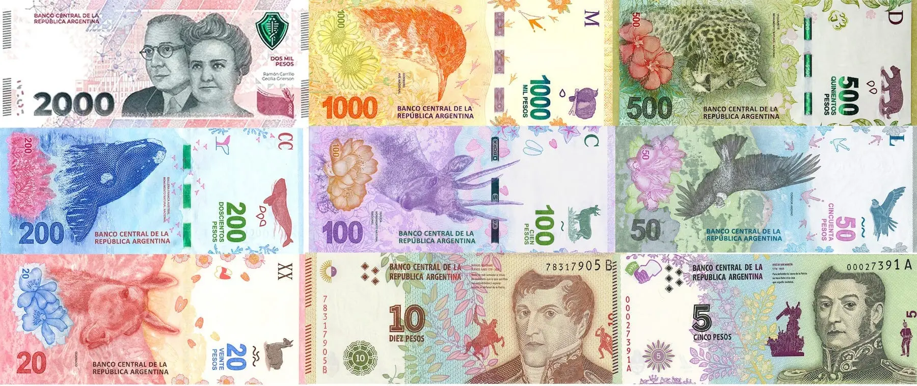 아르헨티나 화폐 지폐