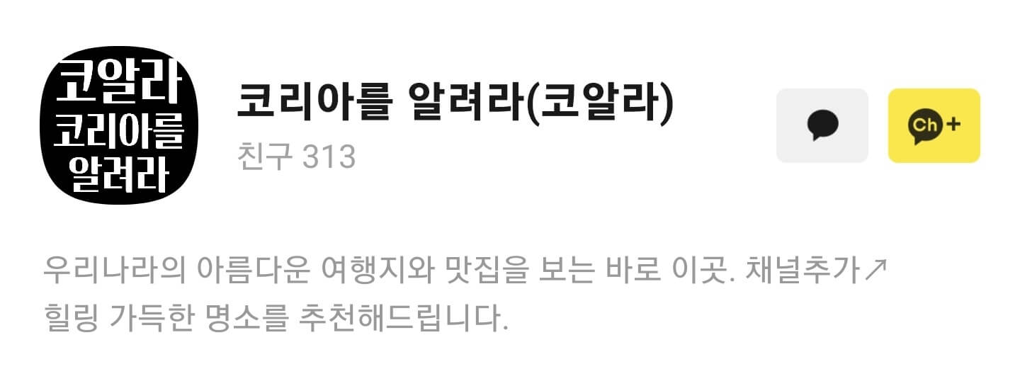 코알라 카톡 채널 상단