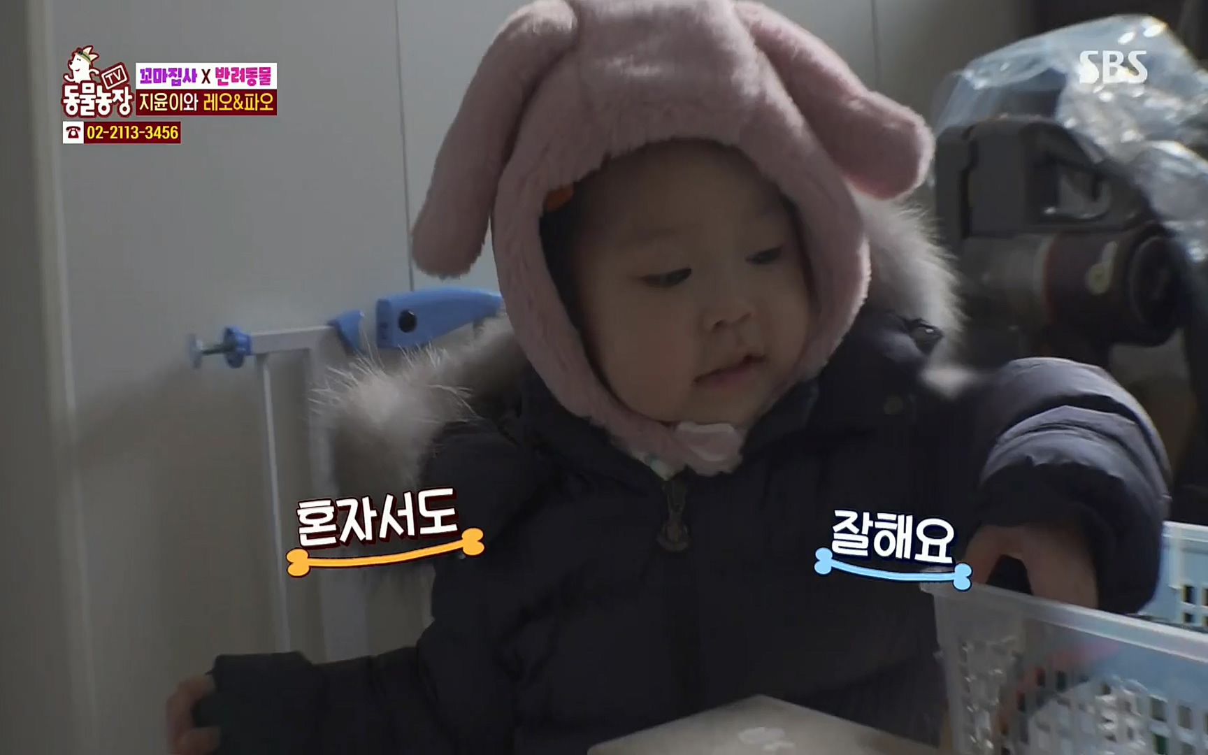 TV 동물농장.E1061.220320p.H264-F1RST.mp4_20220320_183614.120.jpg