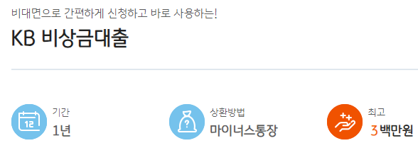 KB국민은행 비상금대출