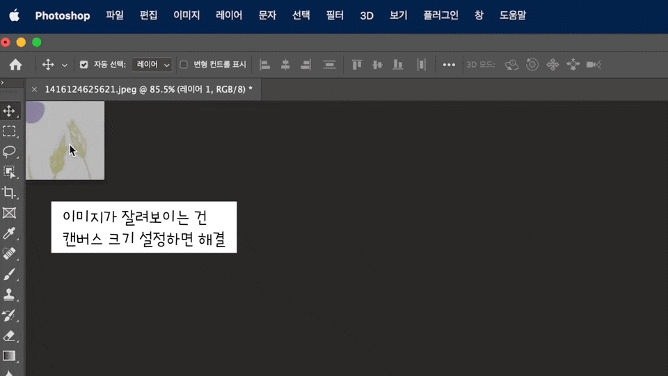 사진 해상도 확인 JPG PNG 사진 고화질 변환 어플 13