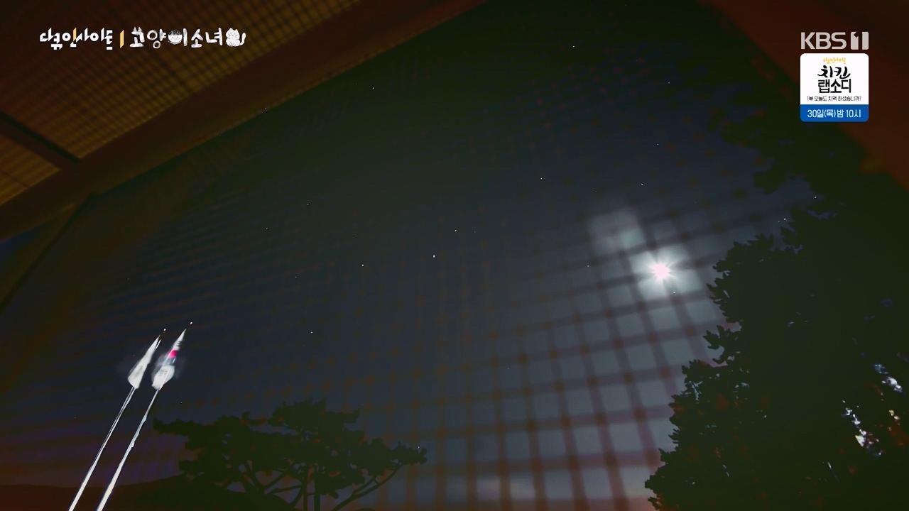 다큐 인사이트.E189.240524p-NEXT.mp4_20240524_205102.803.jpg