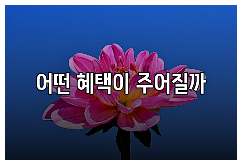 어떤 혜택이 주어질까