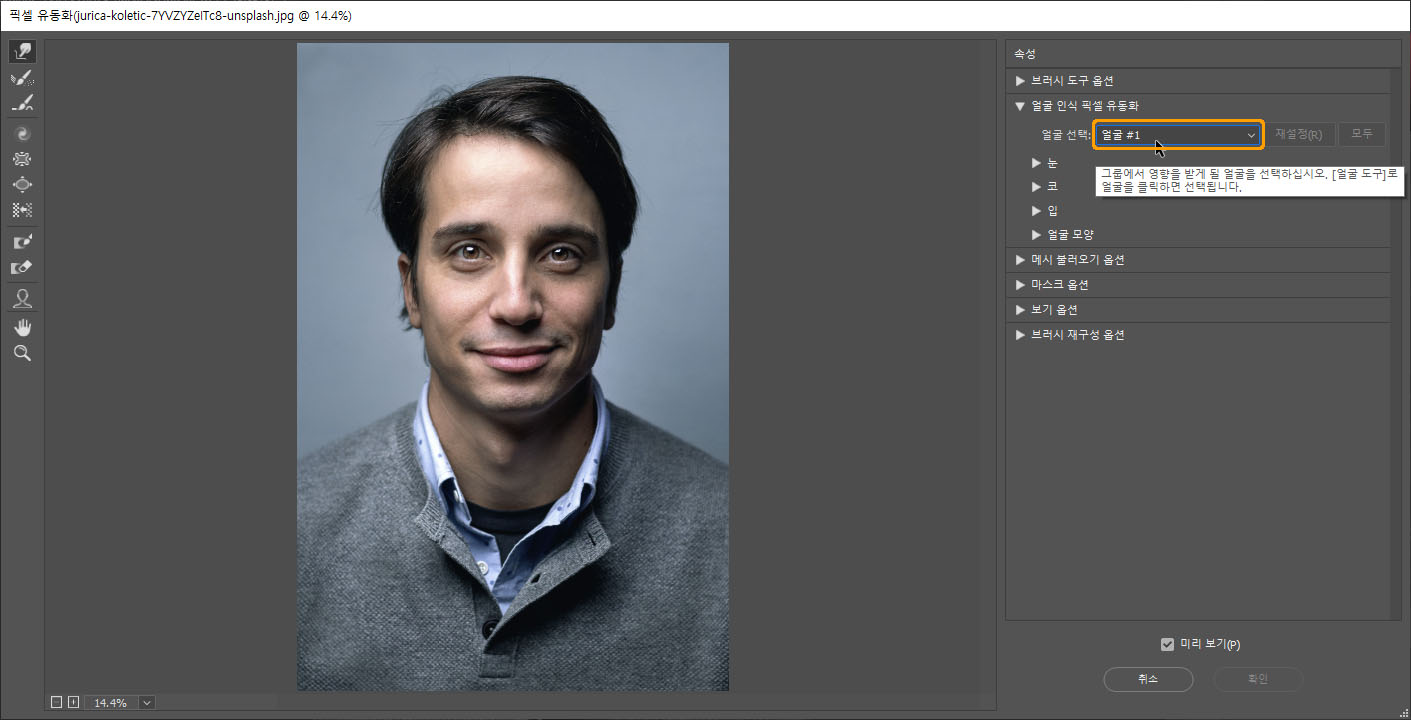 얼굴 인식 픽셀 유동화 항목