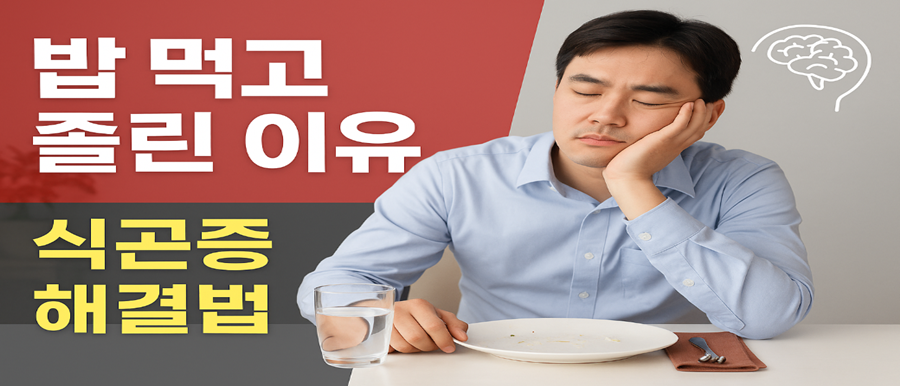 밥 먹고 졸린 이유
