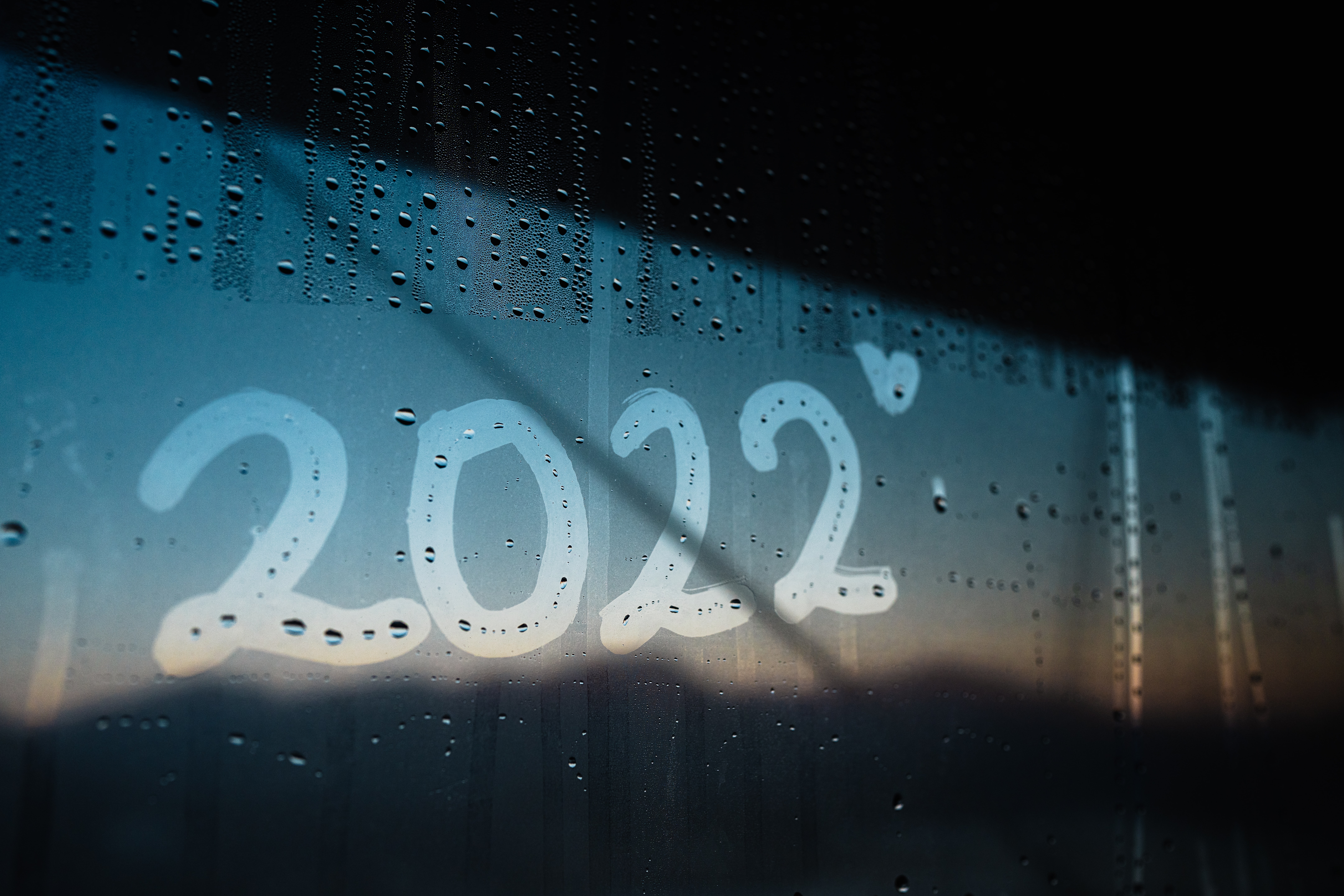  2022년도 결국 가고 말았다