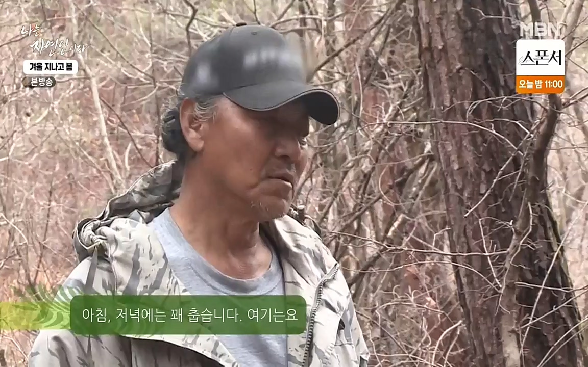 나는 자연인이다.E496.220407p-NEXT.mp4_20220407_175809.942.jpg