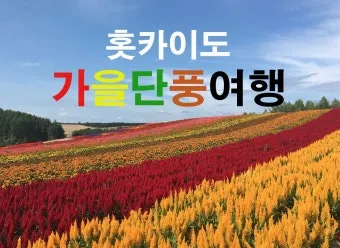 7월 8월 일본 홋카이도 날씨 축제 관광지_18
