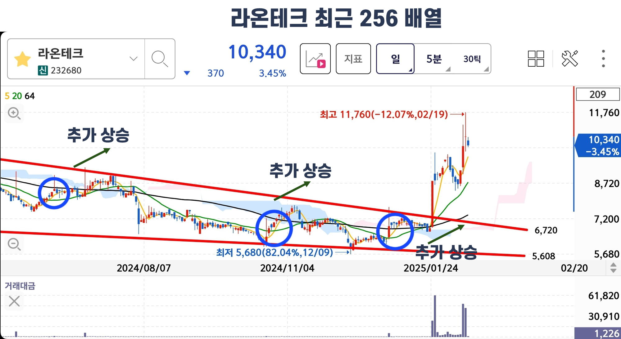 라온테크 256기법 배열