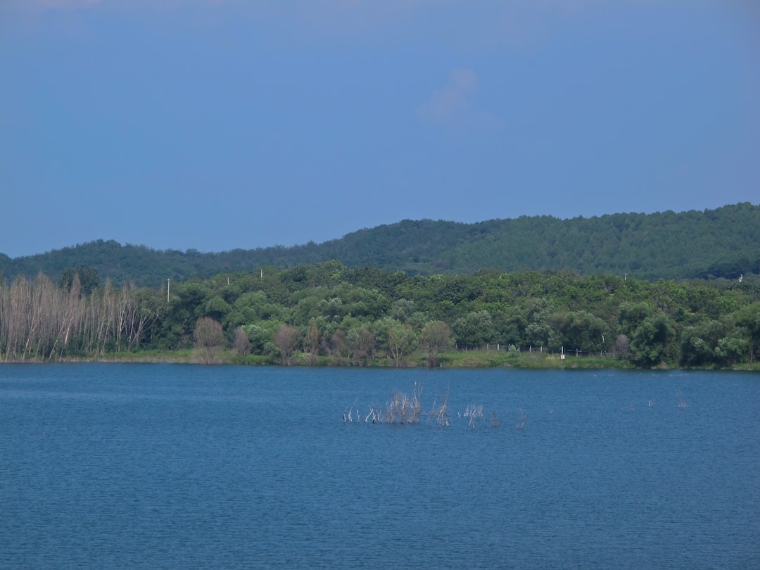 Yangoj Reservoir