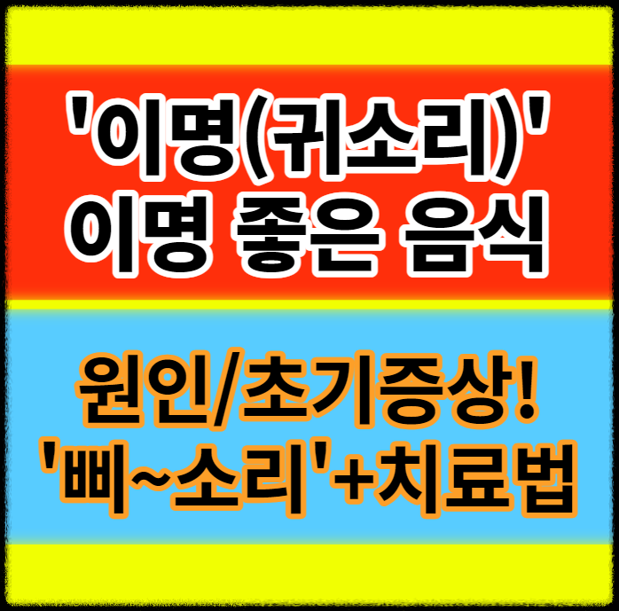 이명에 대한 정보