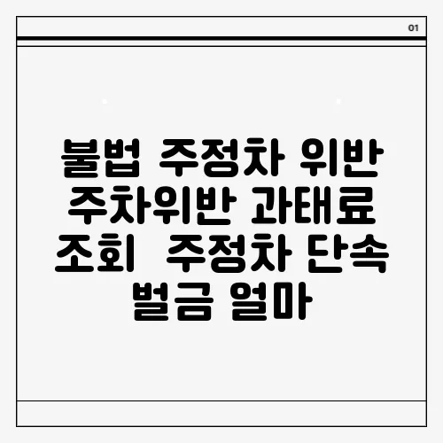 불법 주정차 위반 주차위반 과태료 조회  주정차 단속 벌금 얼마
