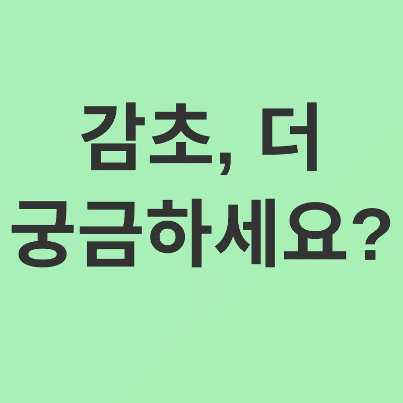 감초 효능_4